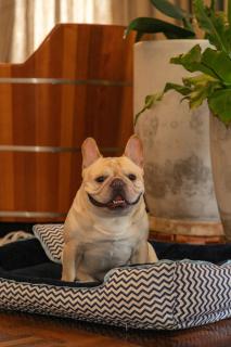 Secreto Boutique Hotel - 1