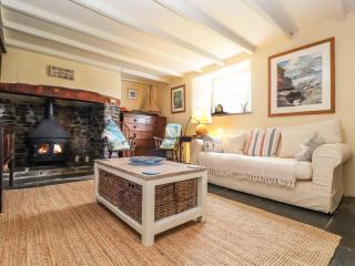 Higher Hill House - Bude - 8