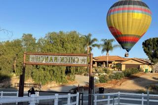 Chick-Ranch Guest House - Temecula - 6