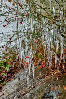 Le Rocher Du Lac - Houffalize - 7