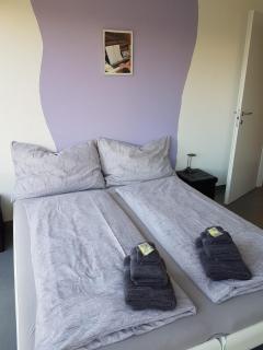 Brissago: 3.5 Zi-Wohnung an extrem ruhiger Lage mit fantastischem Ausblick - Brissago - 4