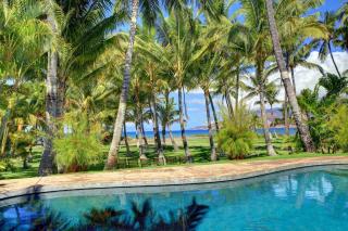 Halama Hale Private Home home - Kihei - 4