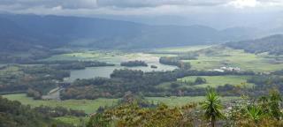 Pochotel - Turrialba - 5