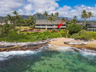 Kauai Hale Awapuhi By Coldwell Banker Island Vacations - Kapaa - 6
