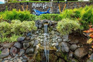 Maui Hill by Coldwell Banker Island Vacations - Wailea - 7