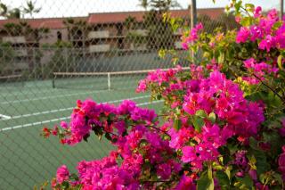 Maui Vista by Coldwell Banker Island Vacations - Kihei - 4