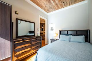 Luxury new Home/Museum/Med. Ctr/dwn twn*FAMILIES - Houston - 9