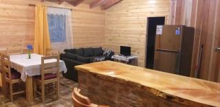 Cabaña Epuleufu en parcela privada de 5000mt2 - Pucón - 0