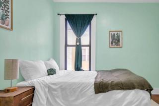 Green N' Groovy in the Heart of East Rock Near DT, Yale - 7