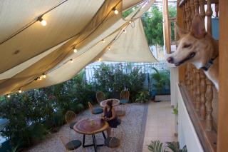 Hostal Magdalena - Santa Marta - 8