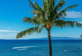 Island Sands by Coldwell Banker Island Vacations - Maalaea - 5