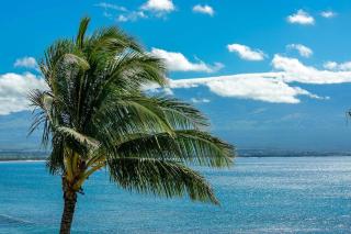 Island Sands by Coldwell Banker Island Vacations - Maalaea - 4