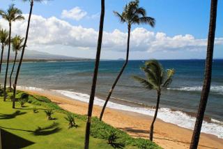 SUGAR BEACH RESORT, #329 condo - Kihei - 8