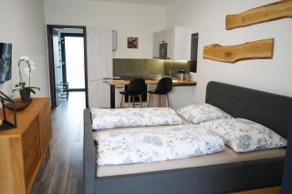 Hofmann Apartment - 1
