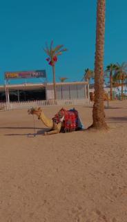 Suite at Lililand Resort & Aqua Park - Hurghada - 5