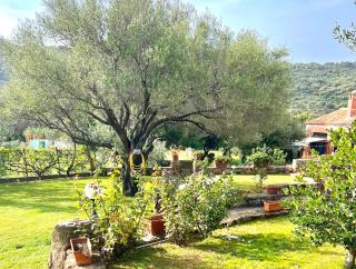 ISS Travel, Li Funnesi House - with private garden, air-condition and two bathrooms - San Teodoro - 7