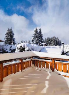 Les Chamois D’Arbois, Mont D’Arbois, Megève - Megève - 3