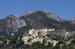 Le miau - Vercoiran - 1
