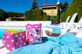 VILLA LIVIA with three nice apartments, swimming pool, childrens playground, barbecue and free parking - Ližnjan - 8
