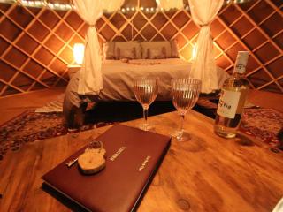 The Warren Yurt - Withyham - 9