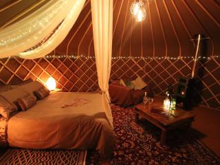 The Warren Yurt - Withyham - 7