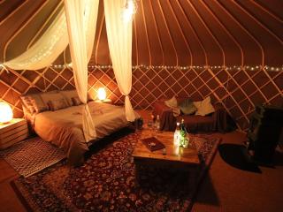 The Warren Yurt - Withyham - 6