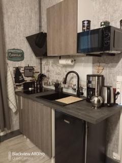 Studio Malou, cuisine, salle d'eau, terrasse amenagée - 3