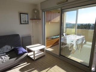 T2 à Sète, 30m², Vue Mer, Parking Privé - FR-1-472-134 - Sète - 6