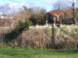 Maison de campagne Conchil le temple - 1