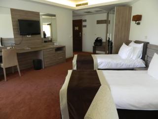 Hotel Danubia Park - Veliko Gradište - 1