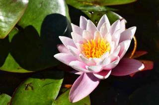 L'Échappée belle à l'Étang d'Anty -appartement - 4