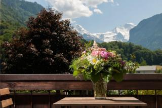 Jungfrau Hotel Annex Alpine-Inn - Wilderswil - 3