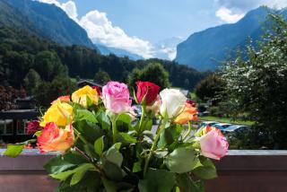 Jungfrau Hotel Annex Alpine-Inn - Wilderswil - 1