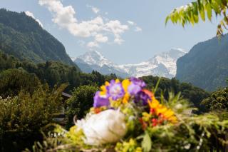 Jungfrau Hotel Annex Alpine-Inn - Wilderswil - 4