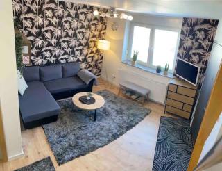 Lucy’s apartment - Osijek - 9