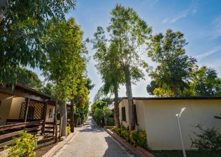 Villaggio Leucosia - Santa Maria di Castellabate - 9