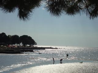 Dasen - Umag - 1