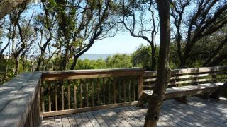 ENDLESS SUMMER OCEAN OAKS home - Jekyll Island - 2