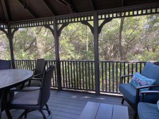 BRINEY BREEZE OCEAN OAKS home - Jekyll Island - 4