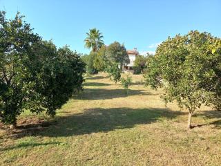4 yatak odalı Harika müstakil villa - 4
