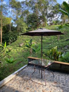 River house - 1
