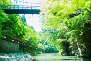 Momijiya Annex - Kyoto - 7