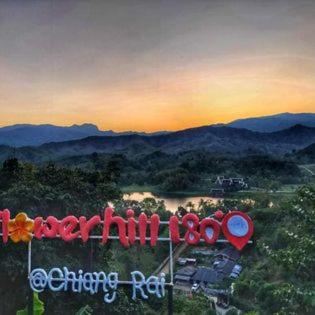 Flower hill 180 - Chiang Rai - 6