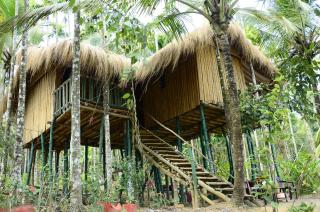 Greenways Tree House and Mud House - Chekadi - 0