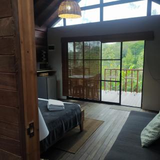 Cabaña Momotus I - Concepción - 4