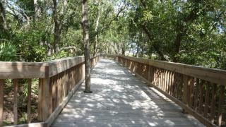 HERON HOUSE OCEAN OAKS home - Jekyll Island - 4