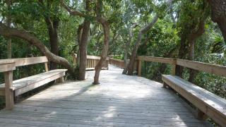 HERON HOUSE OCEAN OAKS home - Jekyll Island - 5