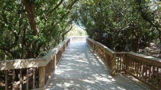 HERON HOUSE OCEAN OAKS home - Jekyll Island - 3