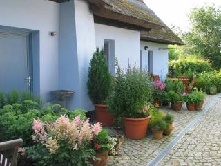 Zum Schwarzen Stiefel- Ferienwohnung Atelierhaus - Liepe - 2