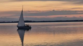 Tavirózsa Apartman - 2